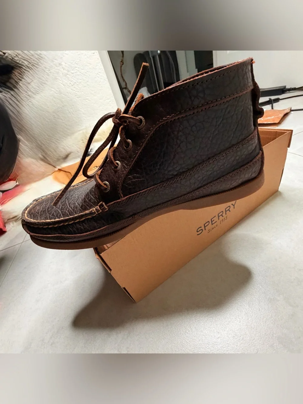 Sperry genuine #chukkaboots only